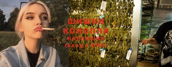 стафф Богданович