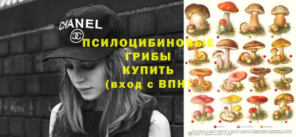 крисы Аркадак