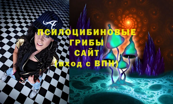 крисы Аркадак