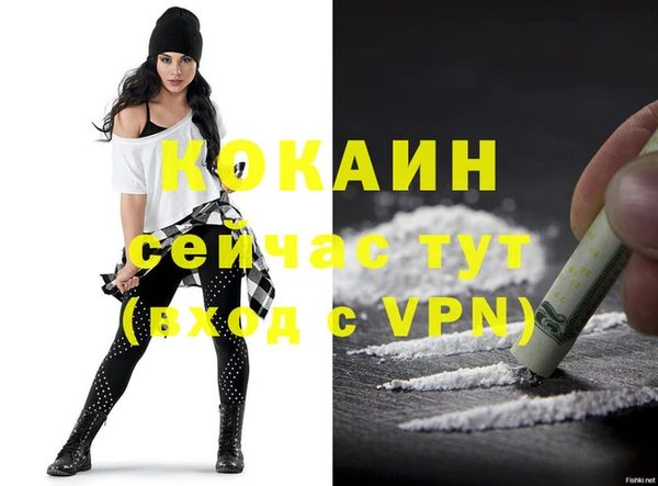 стафф Богданович