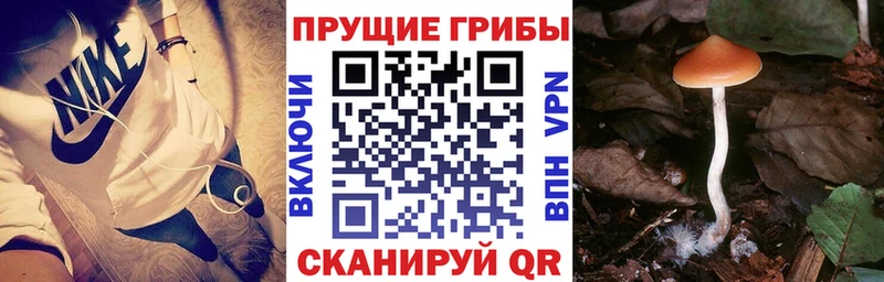 Псилоцибиновые грибы мухоморы  Петухово 